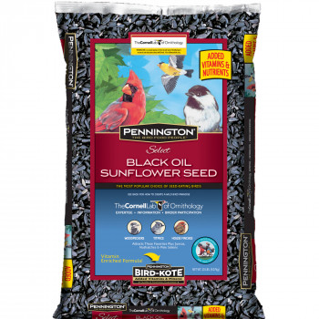 Pennington Seleccione Negro Aceite de Semilla de Girasol Salvaje de Piensos de Aves, 20 libras-021496015538-0
