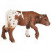 Texas Longhorn Becerro De Juguete Figura-654204689723-0